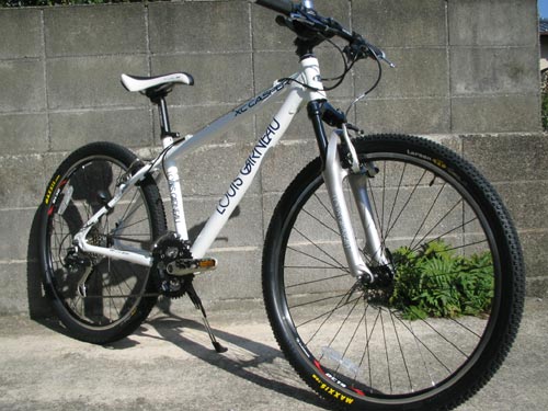 ８．MTB、ルイガノ・キャスパー 2006モデルの写真 : 自転車